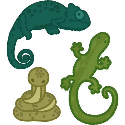 a blue-green chameleon, a green-yellow snake, and a green lizard.